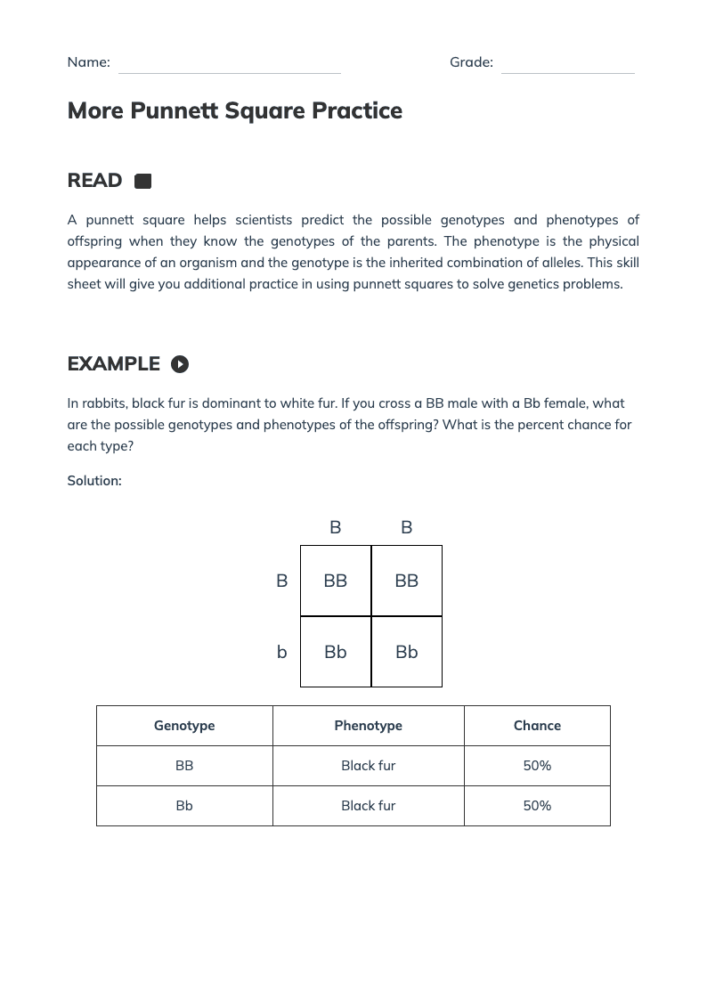 Punnett Square Practice: Genetics Worksheet for Genotypes & Phenotypes - Page 1