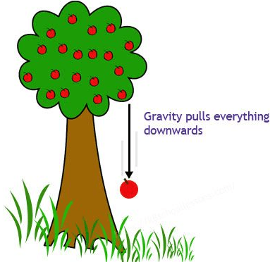 Grade 5 Gravity — Printable No-Prep Worksheet
