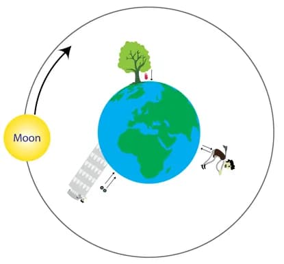 Printable Gravity Quiz | Grade 5 Science Worksheet