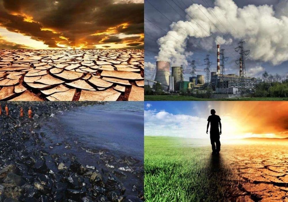 Printable French Ecology Quiz | Grade 6 Science