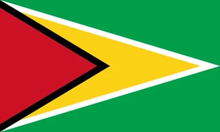 World Flags Identification Quiz Worksheet