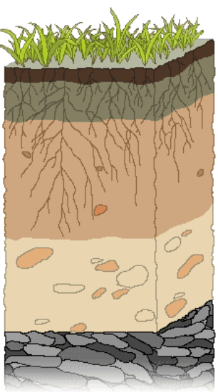 Soil Formation and Texture Quiz