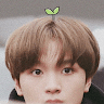 Baby Grass