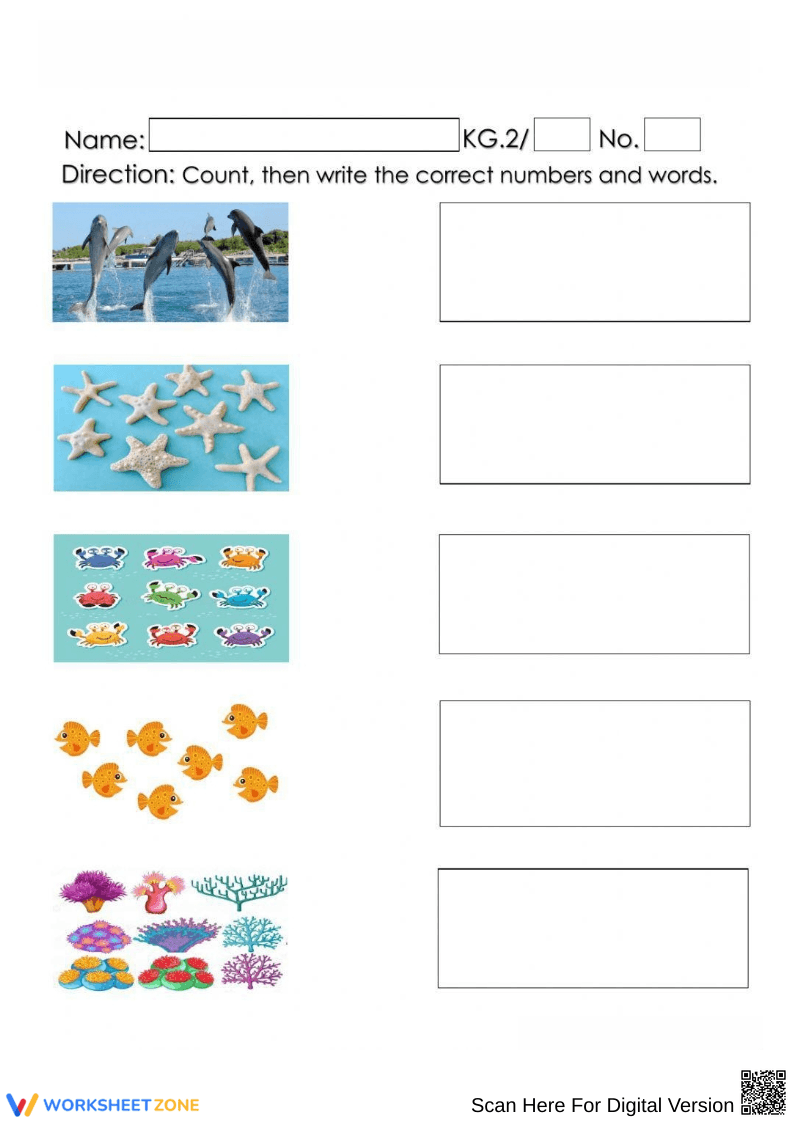 Sea Creature Identification Worksheet - Page 1