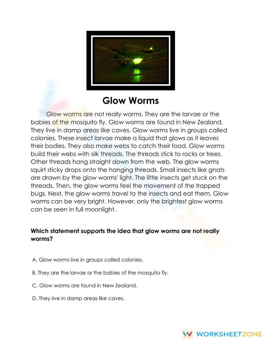 RI 4.2 Worksheet: Glow Worms Main Idea — Grade 4 Essential - Page 1