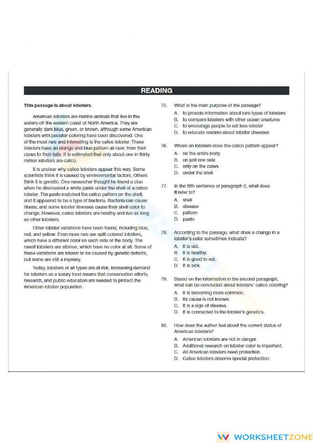 ECCE 2021 Reading Aligned Worksheet | Grade 9-10 - Page 1