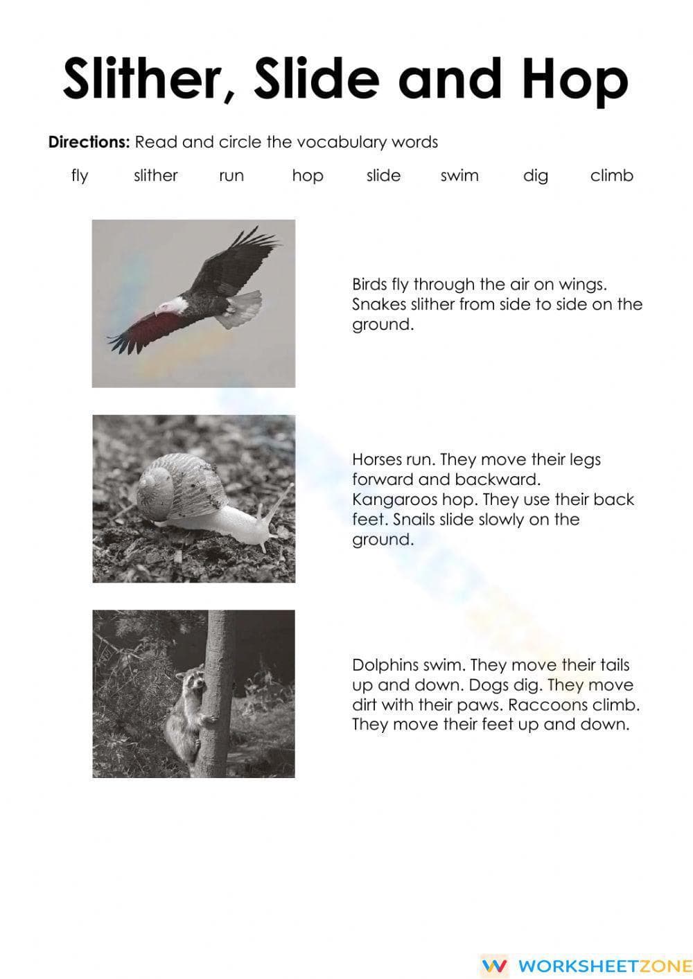 Printable Grade 1 Creature Feature Reading Worksheet - Page 1