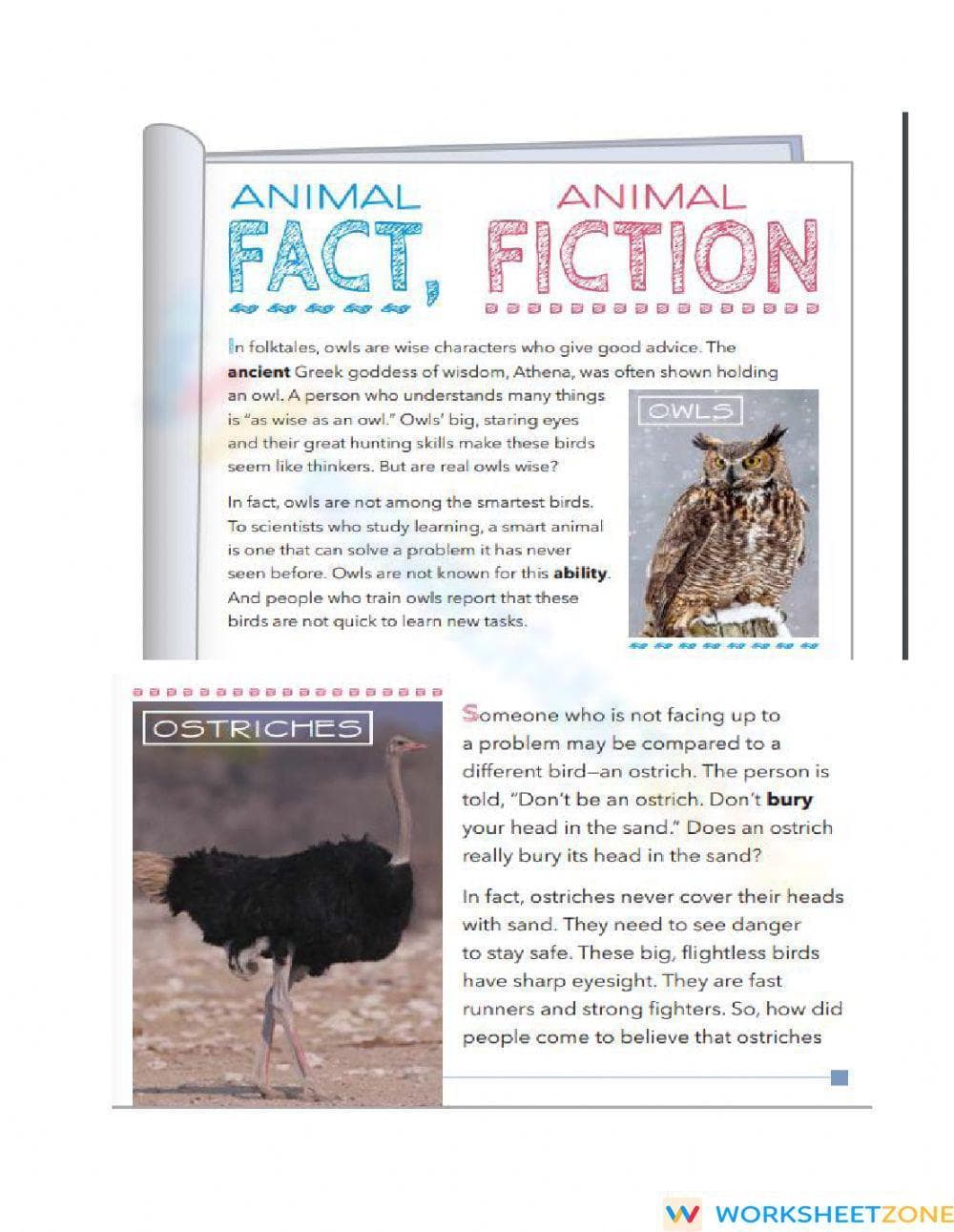 Animal Fact vs. Fiction Worksheet | Grade 5 Essential - Page 1