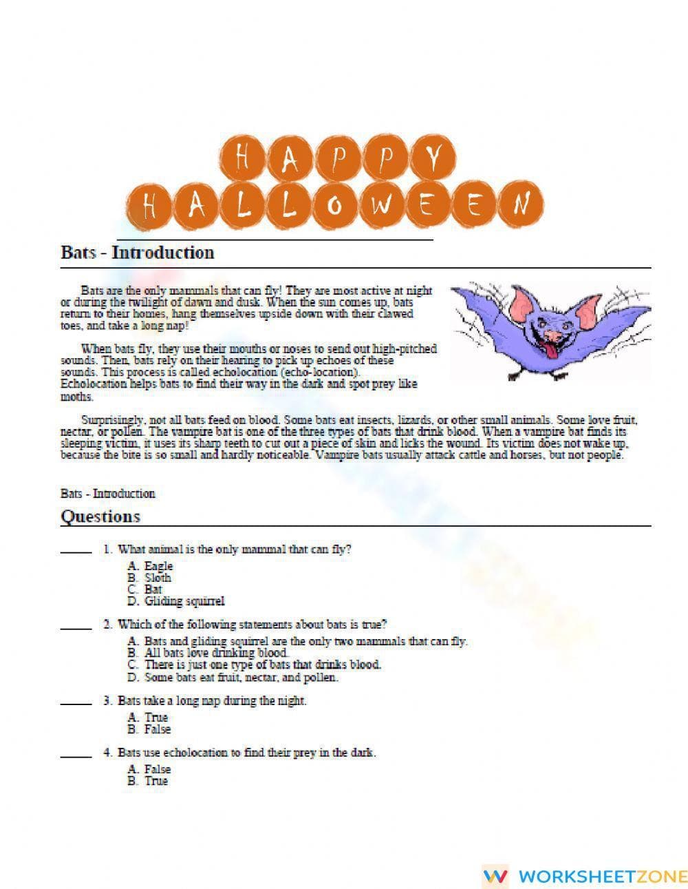 Grade 6-8 Bats Reading Comprehension — Essential Worksheet - Page 1