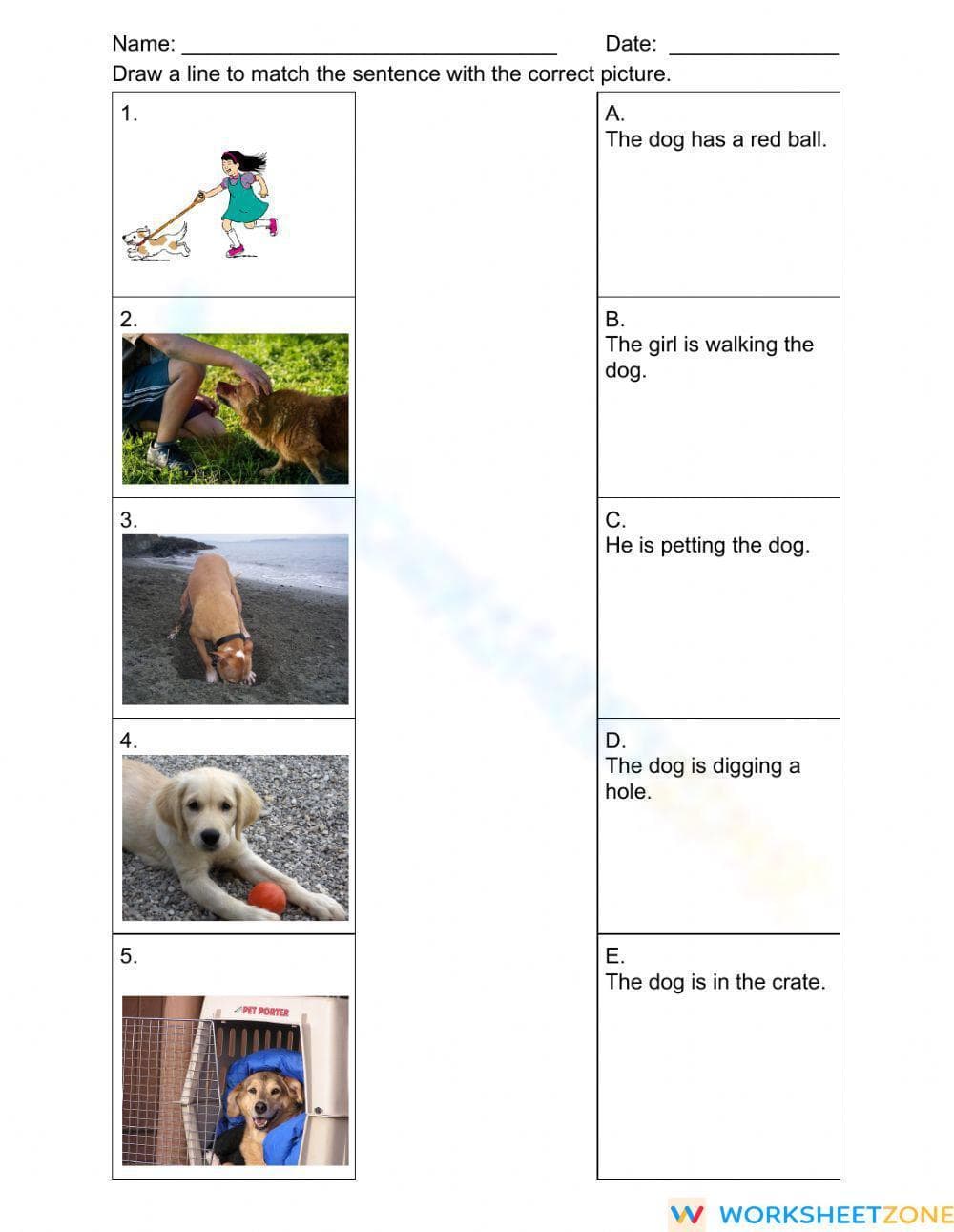 Reading Sentences & Pictures Worksheet | Grade 1 Printable - Page 1