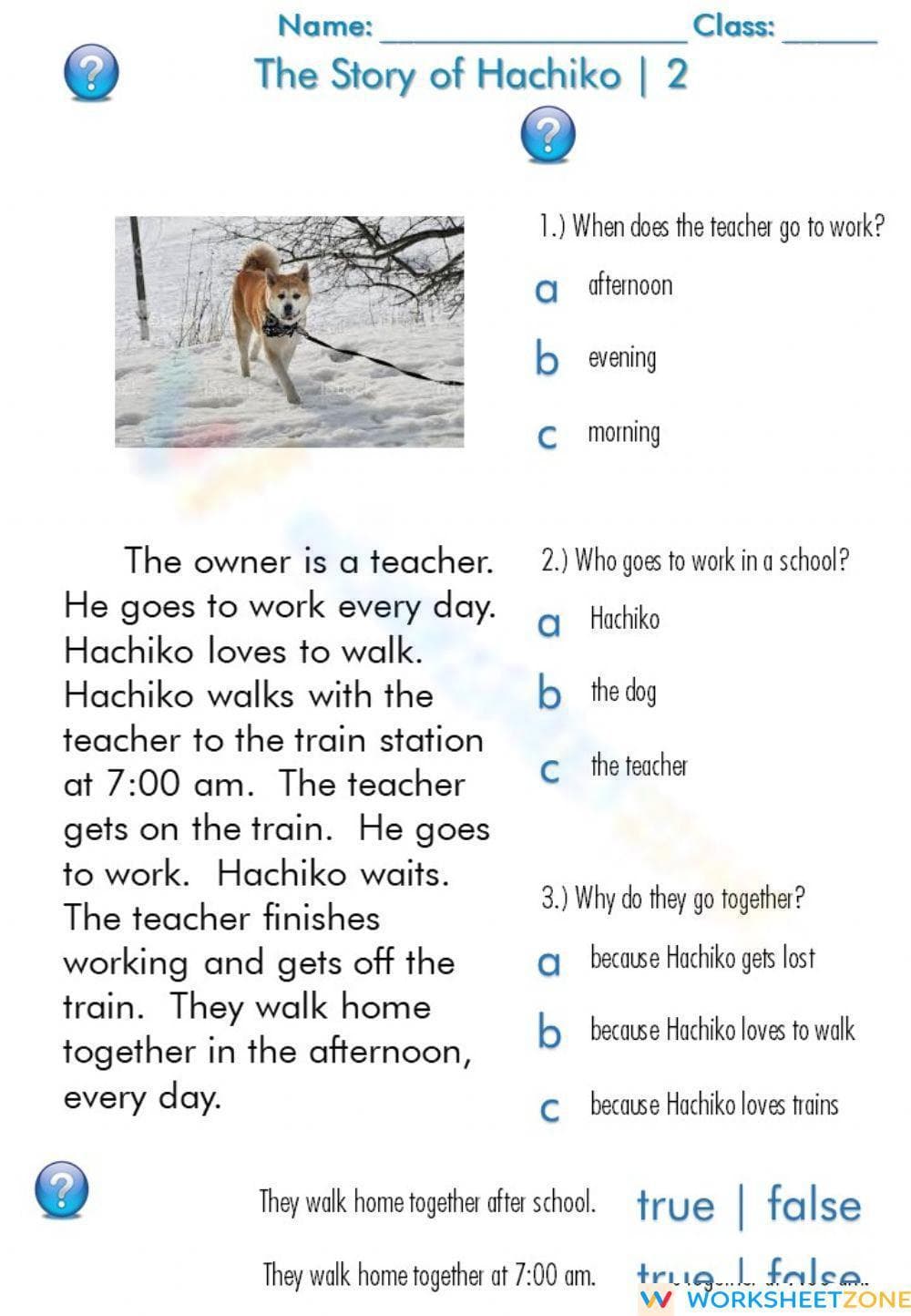 Essential Hachiko Reading Worksheet | Grade 3 Aligned - Page 1