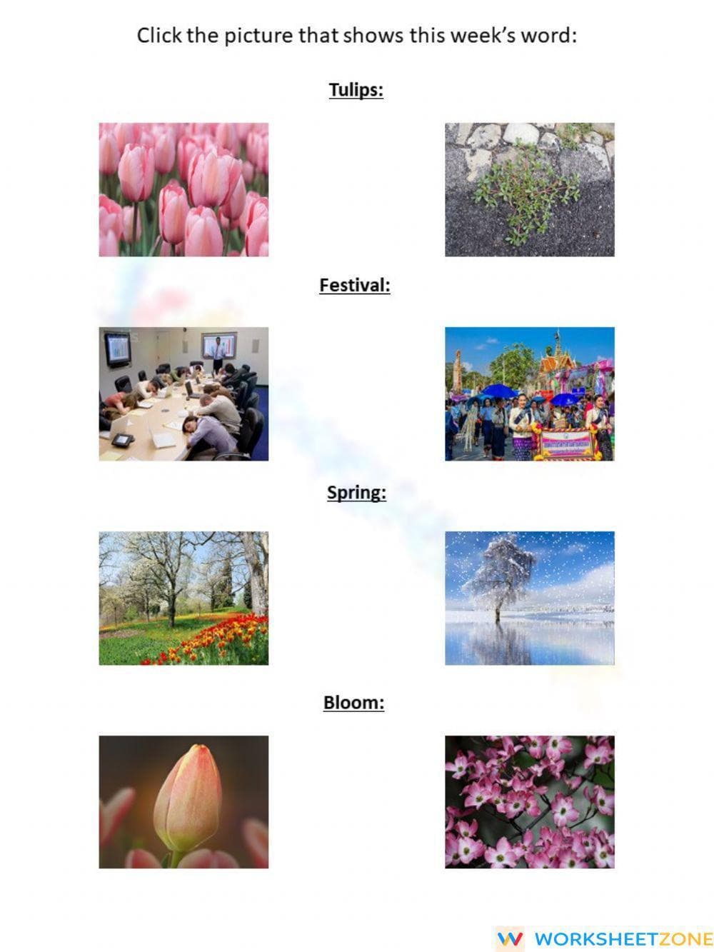 Tulip Time Festival - Page 1