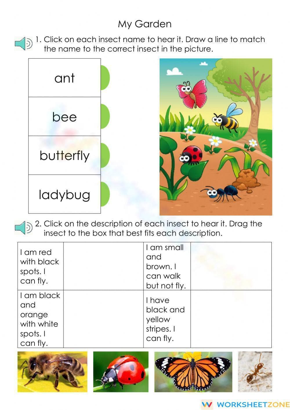 Grade K My Garden — Printable No-Prep Insect Worksheet - Page 1