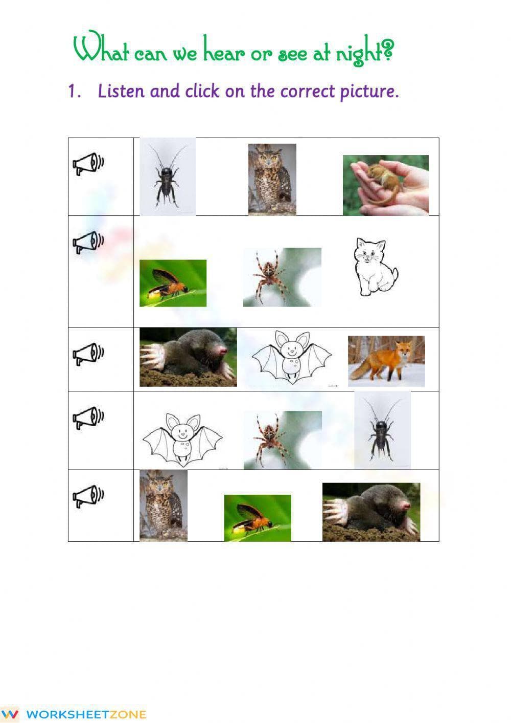 Printable Nocturnal Animals Vocabulary | Grade 1 ELA - Page 1