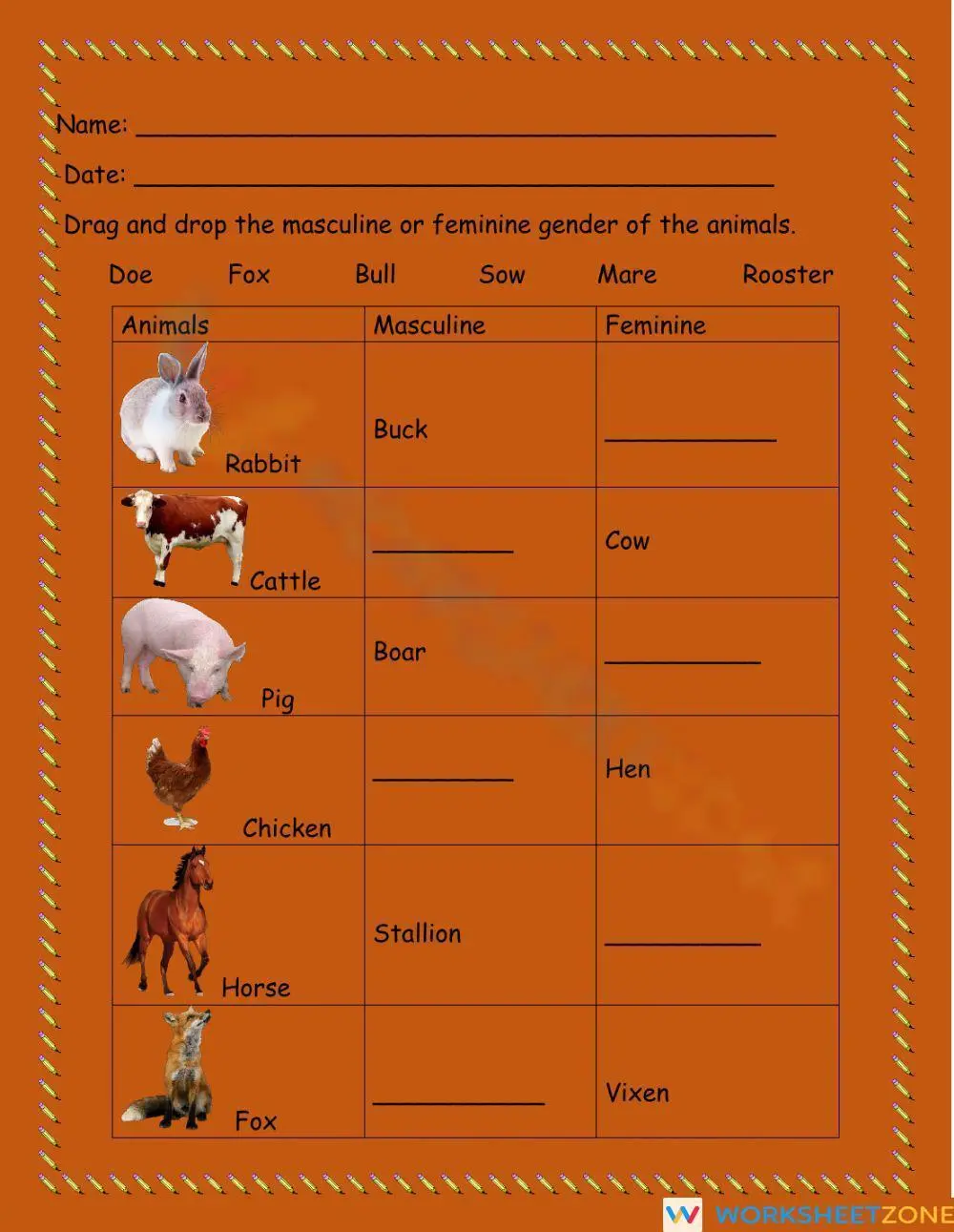 Essential Animal Gender Worksheet | Grade 2 ELA Ready - Page 1
