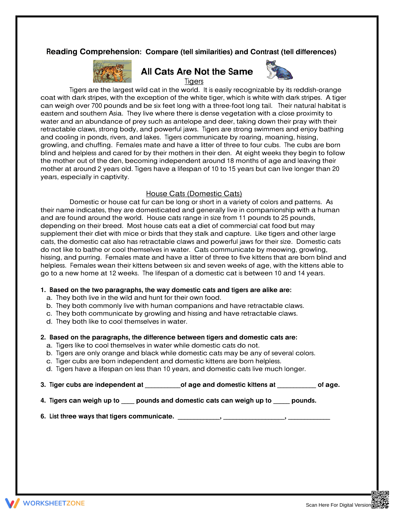 All Cats Are Not the Same Worksheet | Essential Grade 3 ELA - Page 1