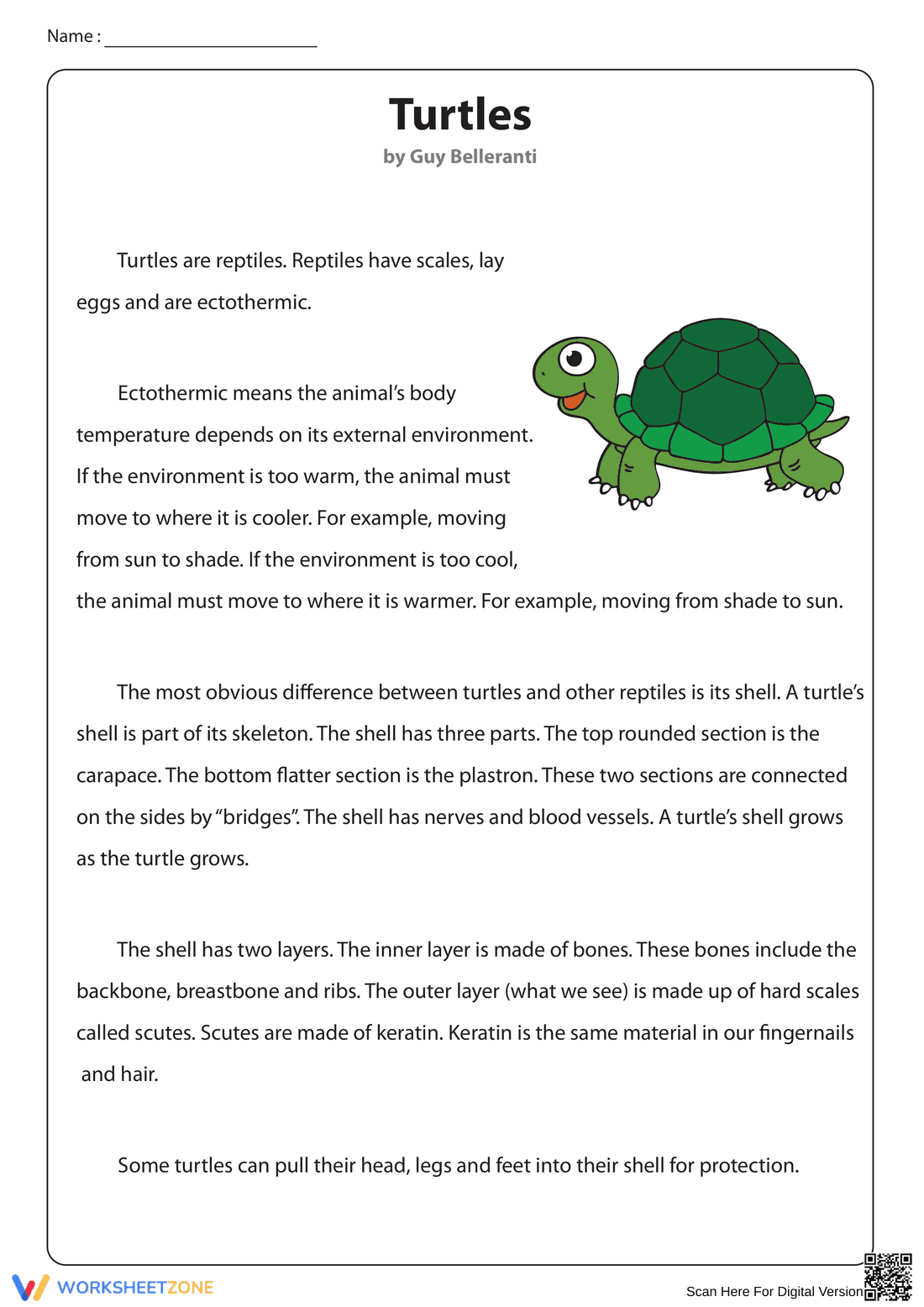 Non-Fiction Reading About Turtles - Page 1