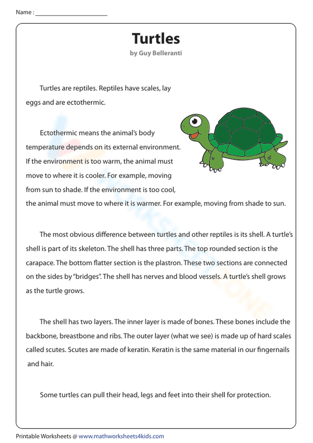 Non-Fiction Reading About Turtles - Page 1