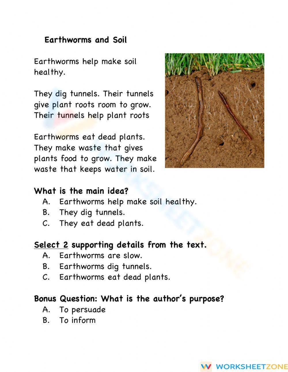 Main Idea: Earthworms and Soil - Page 1