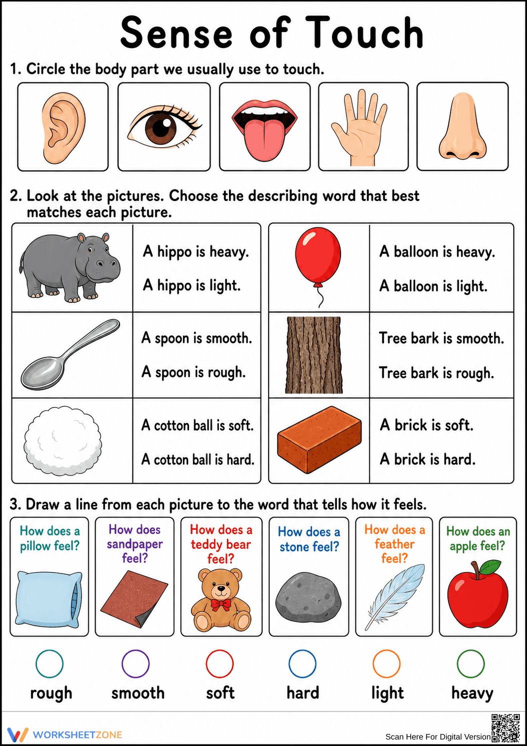 Essential Sense of Touch Worksheet | Kindergarten ELA Ready - Page 1