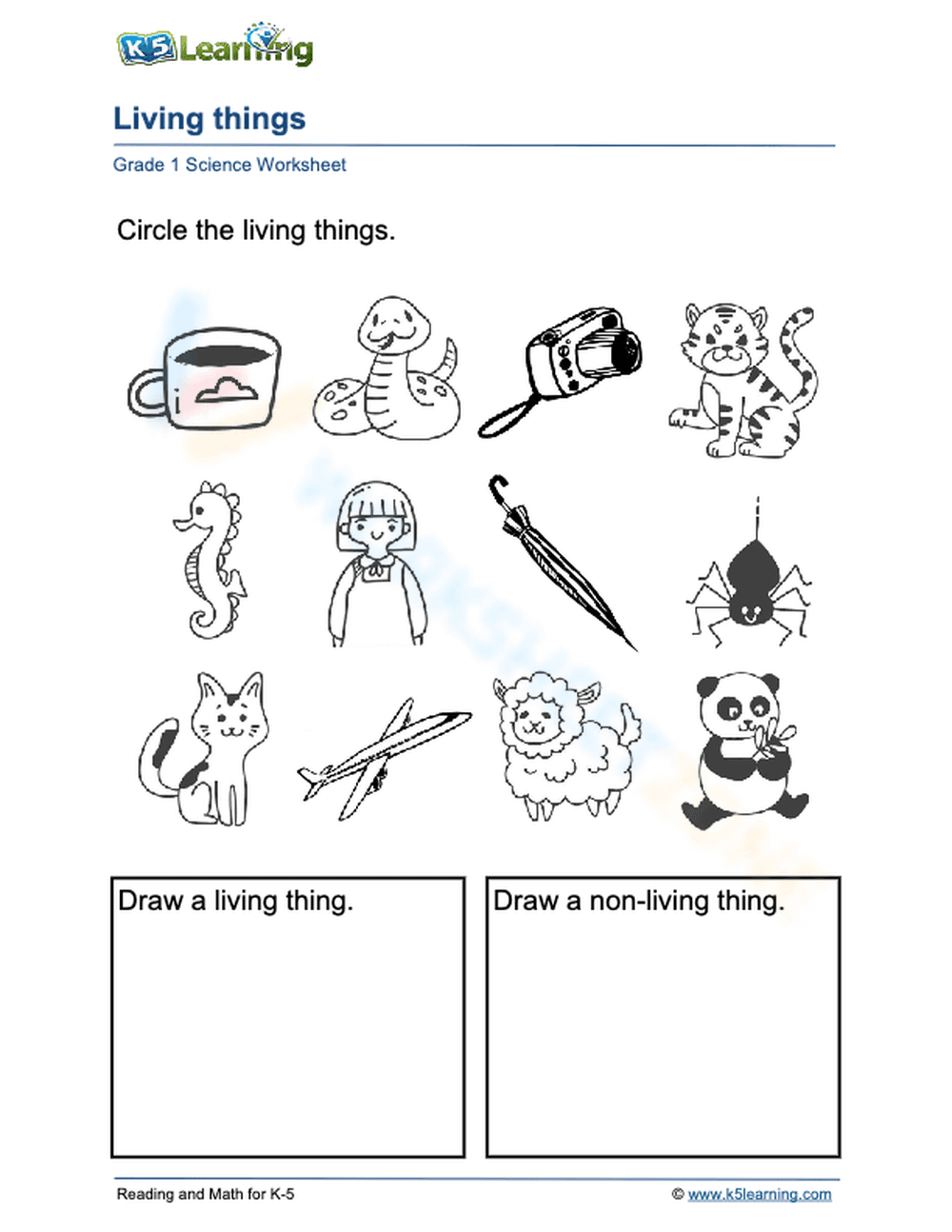 Essential Living Things Worksheet | Grade 1 Science - Page 1