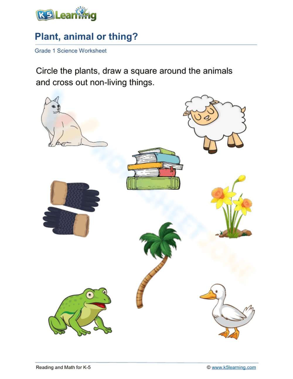 Grade 1 Plant, Animal or Thing? Essential No-Prep Worksheet - Page 1