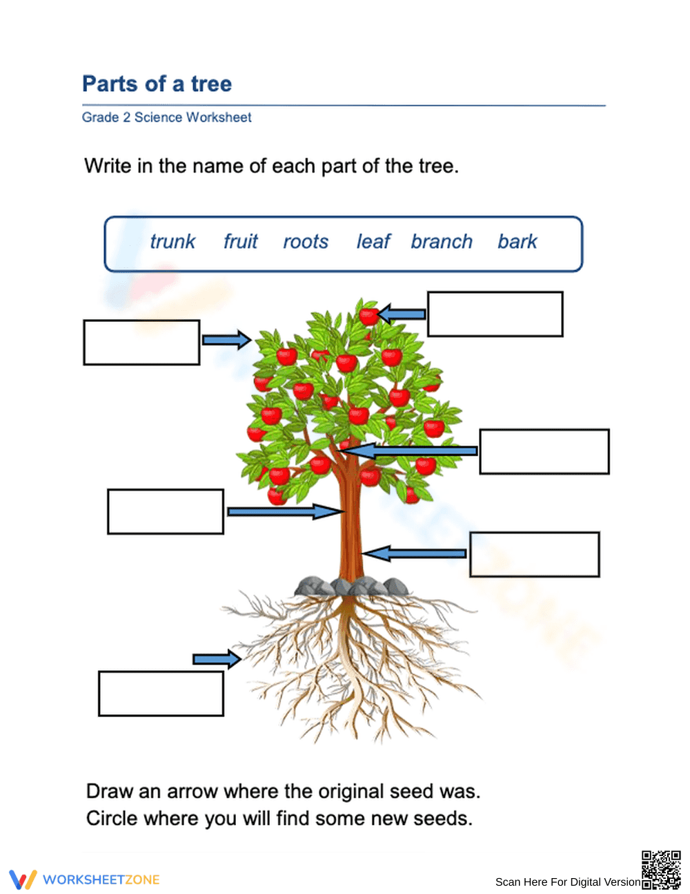 Labeling the Parts of a Tree Science Activity - Page 1
