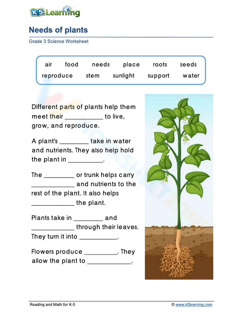 Understanding the Needs of Plants - Page 1
