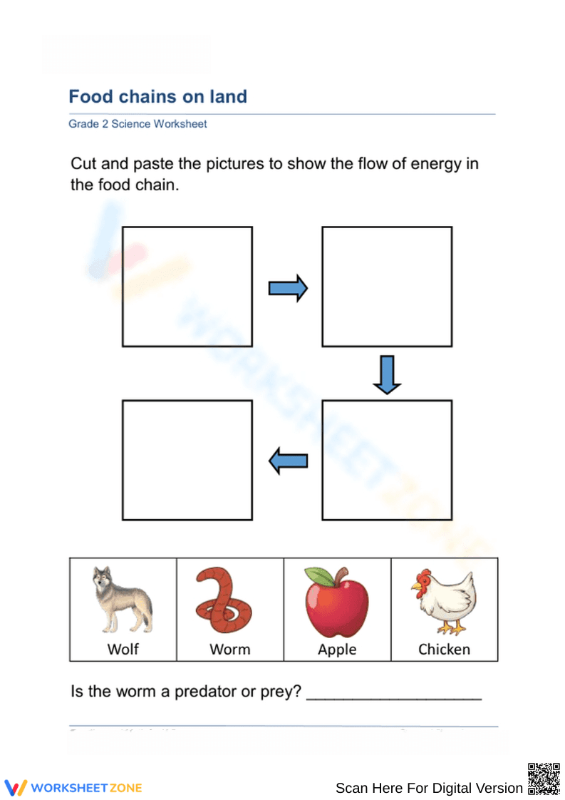 Essential Food Chains on Land Cut and Paste | Grade 2-3 - Page 1