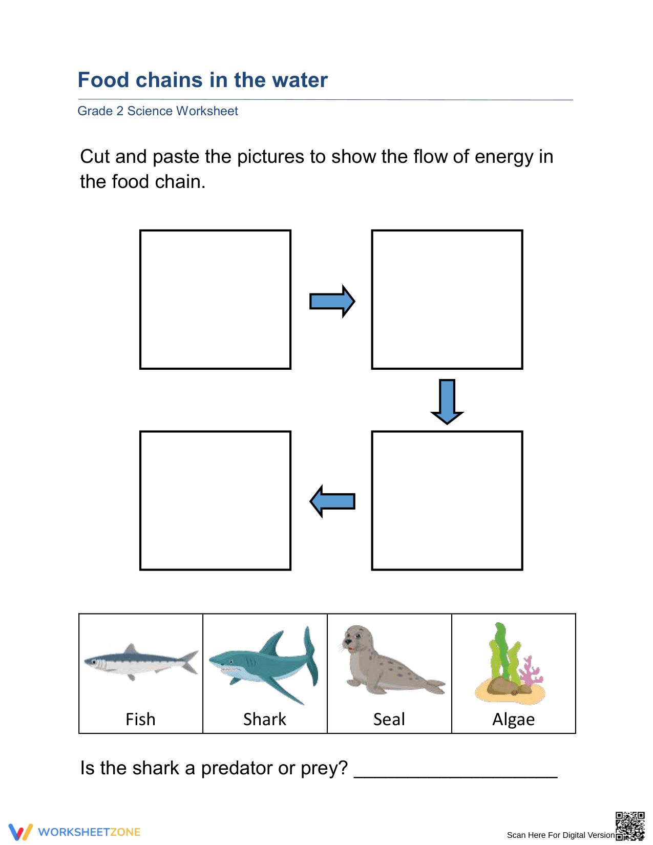 Food Chains in the Water Worksheet for Grade 2 - Page 1