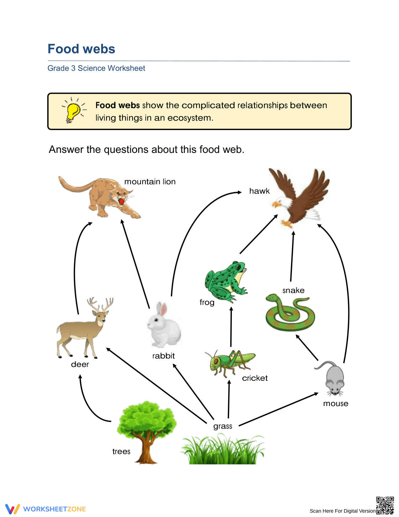 Essential Food Webs Worksheet | Grade 3 Science Aligned - Page 1