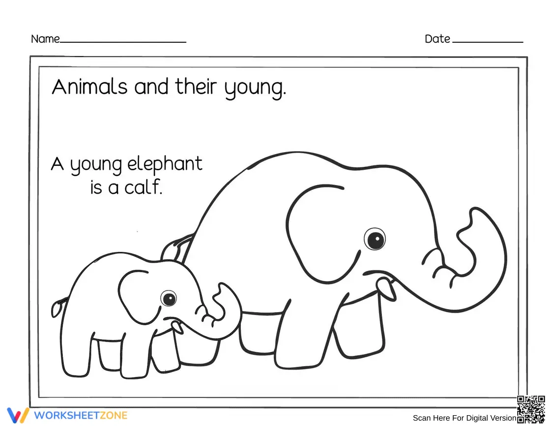 Printable Young Elephant Calf Worksheet | Grade K-2 Science - Page 1