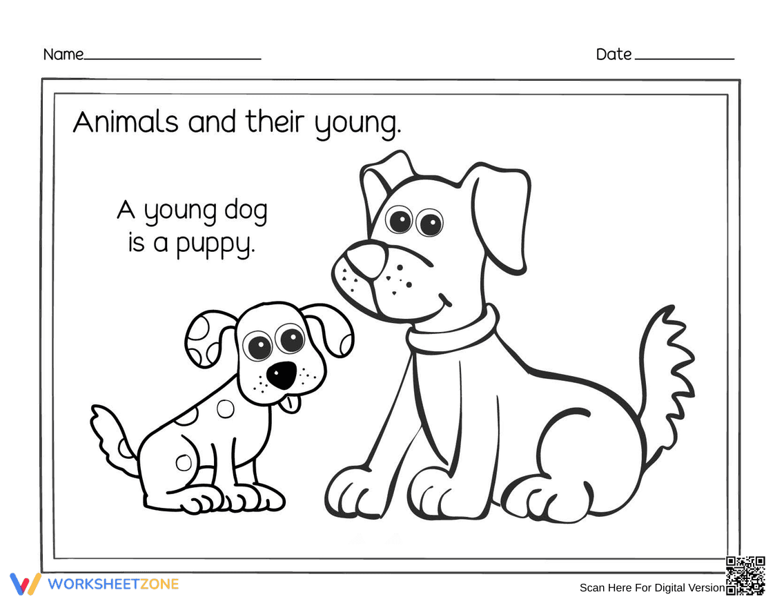 Young Dog & Puppy Essential Science Coloring Worksheet - Page 1
