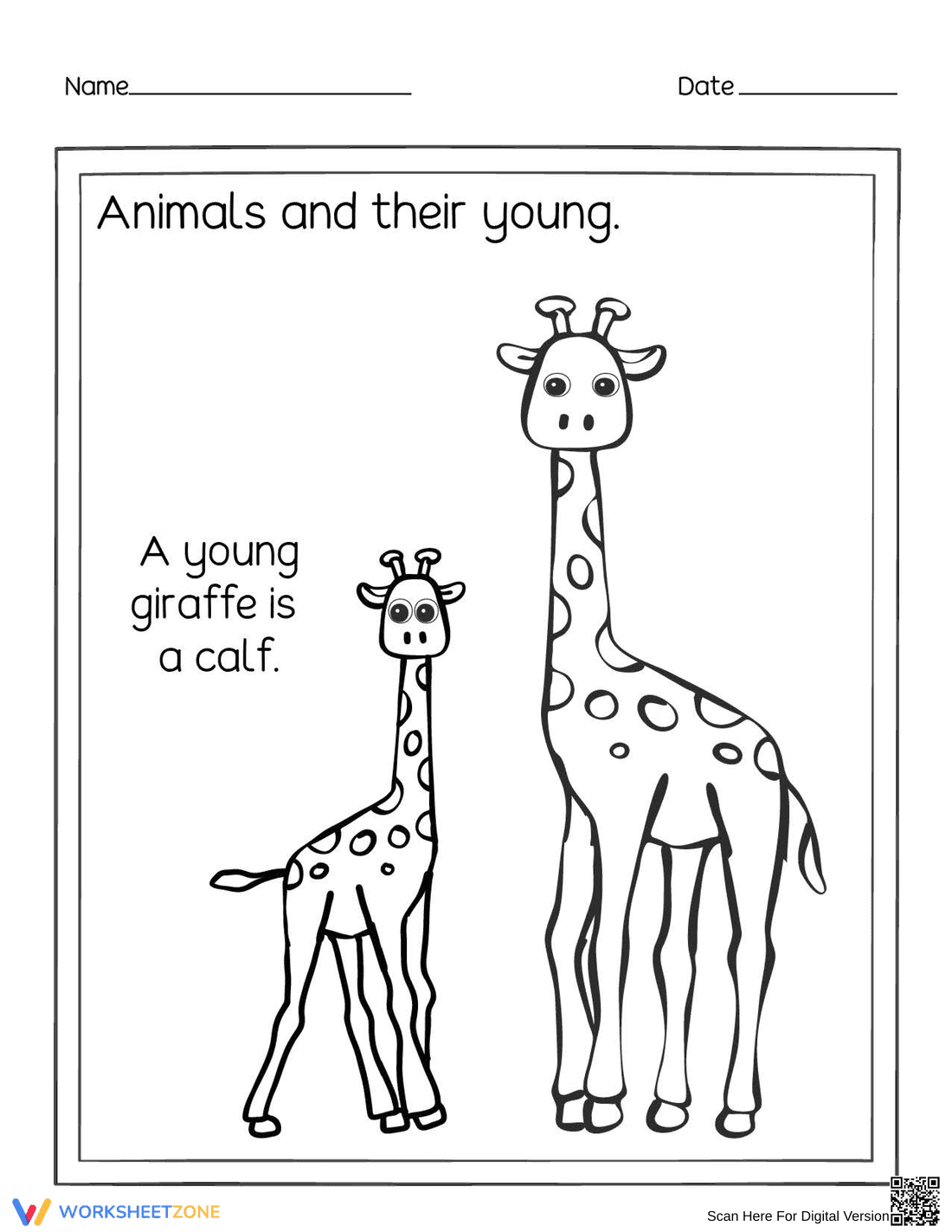 Essential Animals and Their Young: Giraffe Calf Worksheet - Page 1