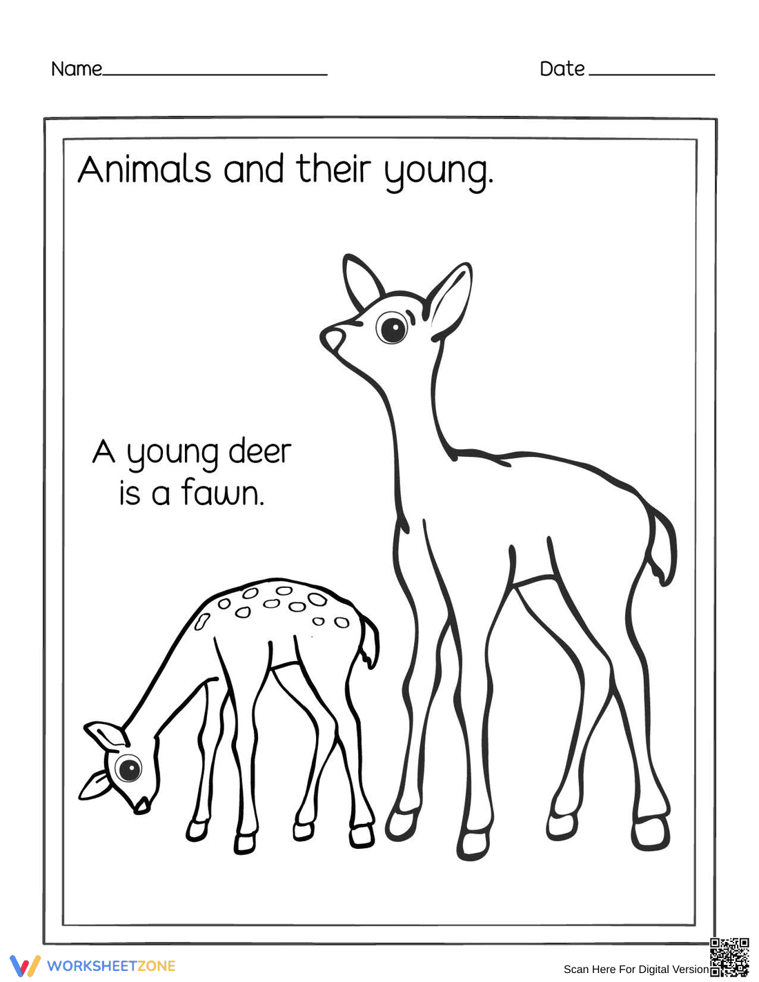 Essential Deer and Fawn Worksheet | Grade 1 Science - Page 1