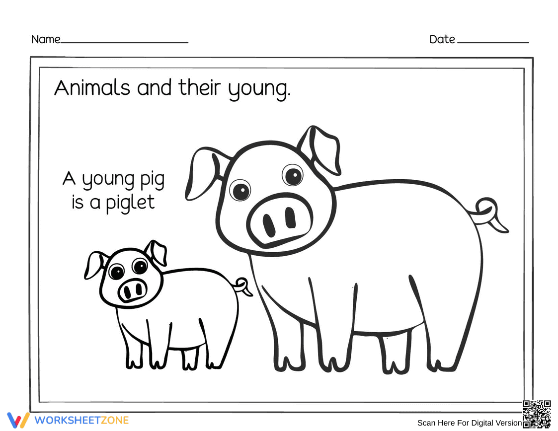 Essential Piglet Worksheet | Animals and Their Young (K-2) - Page 1