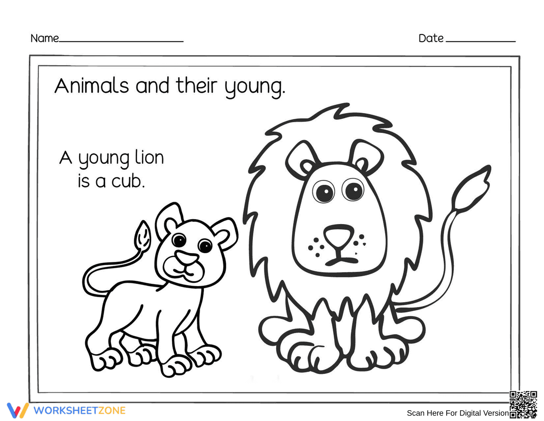 Essential Animals and Their Young: Lion Cub — Grade K-2 - Page 1