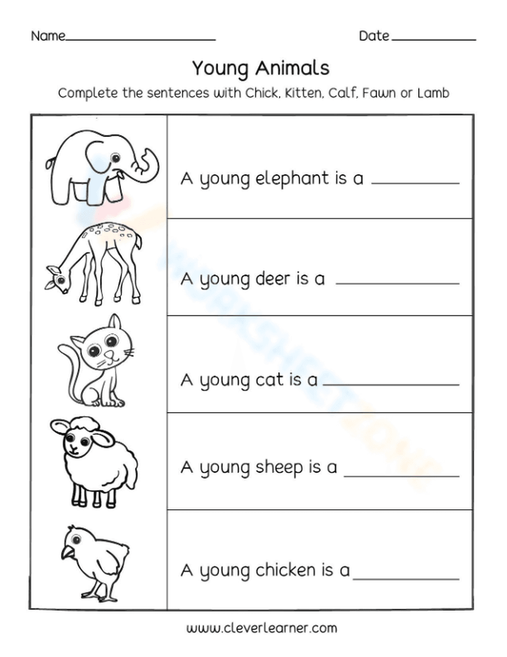 Young animals 2 - Page 1