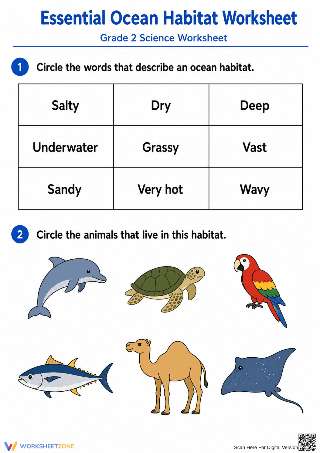 Grade 2 Ocean Habitats — Printable No-Prep Worksheet - Page 1