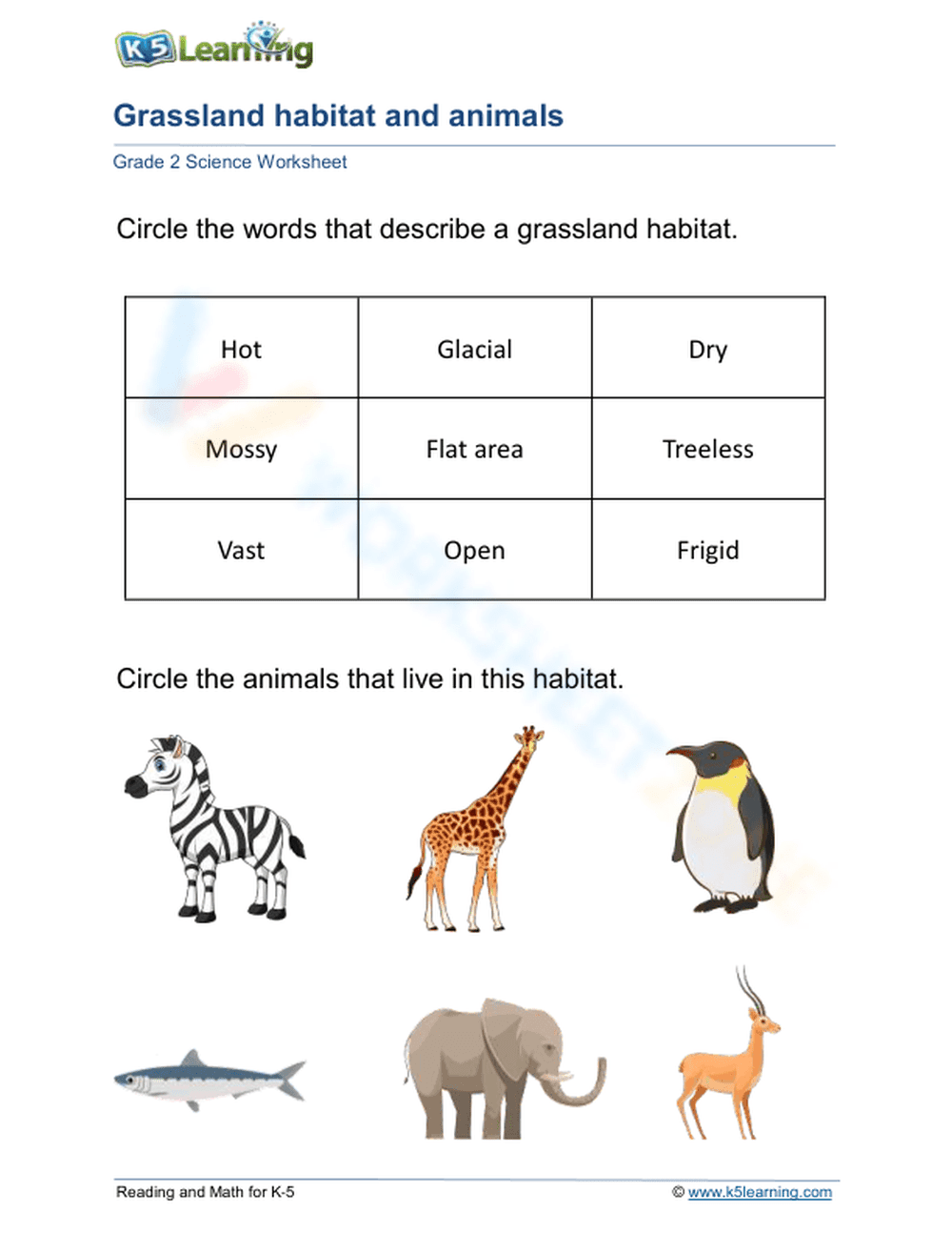 Essential Grassland Habitat Worksheet | Grade 2 Science - Page 1