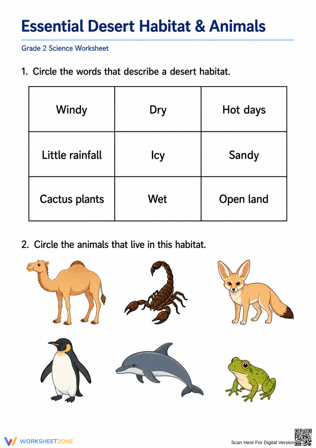 Essential Desert Habitat & Animals Worksheet | Grade 2 Ready - Page 1