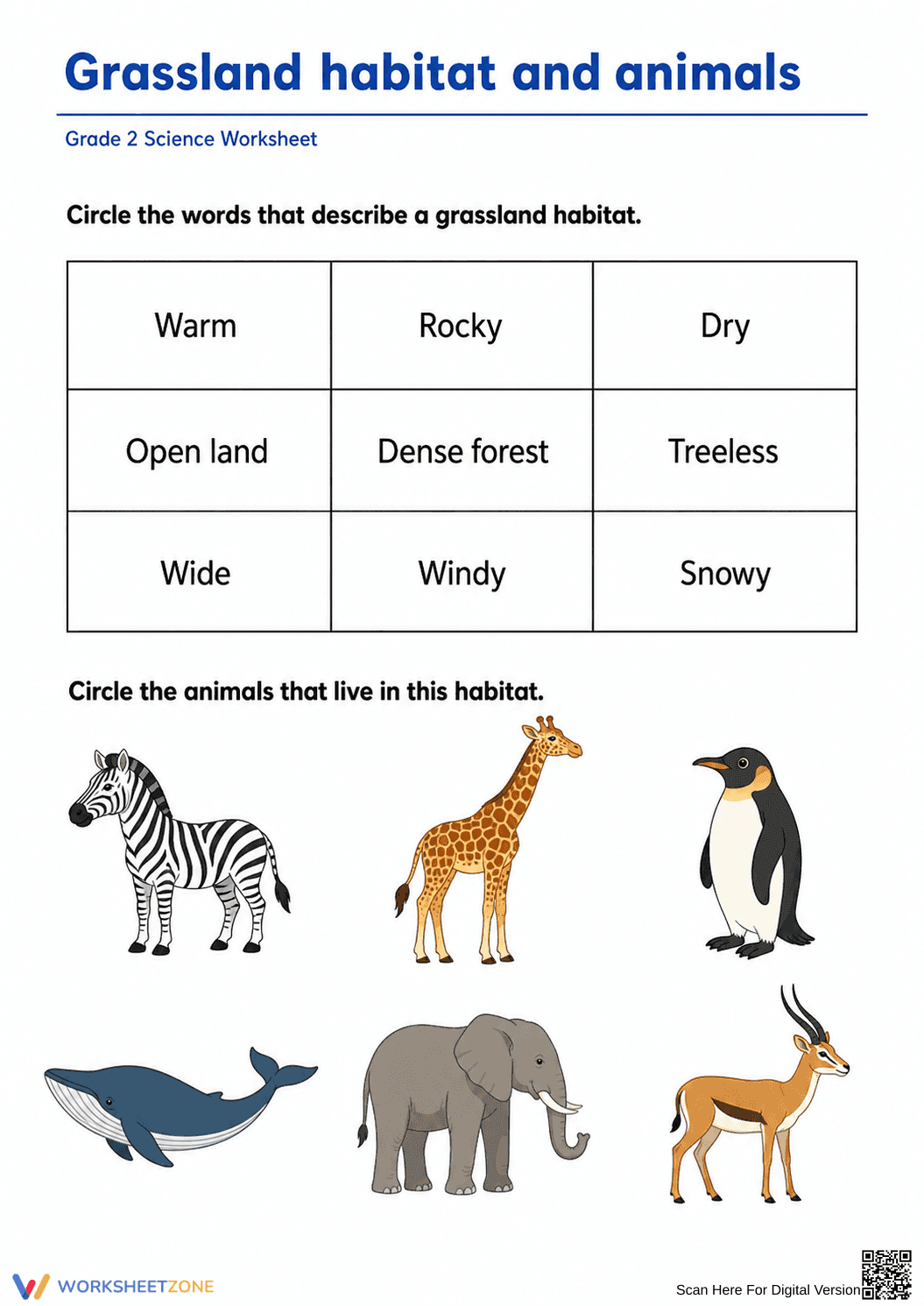 Essential Grassland Habitat Worksheet | Grade 2 Ready - Page 1