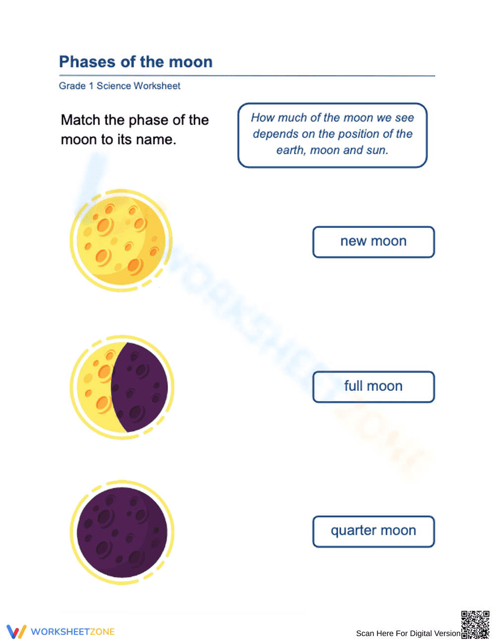 Grade 1: Phases of the Moon Worksheet - Page 1