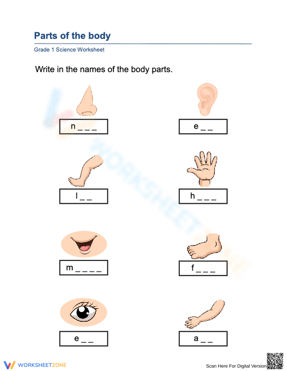 Essential Parts of the Body Worksheet | Grade K Science - Page 1