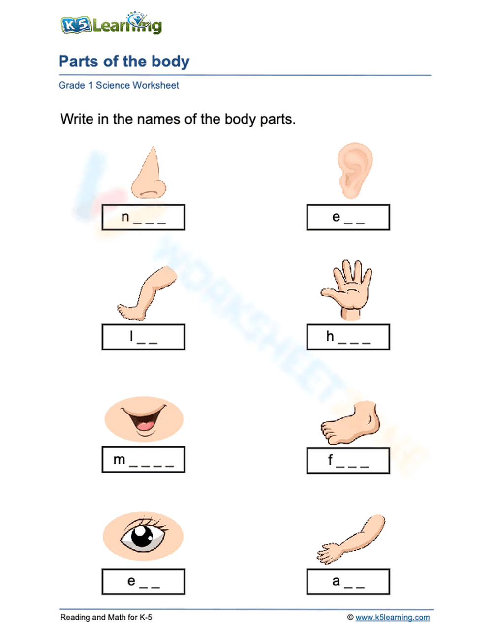 Essential Parts of the Body Worksheet | Grade K Science - Page 1