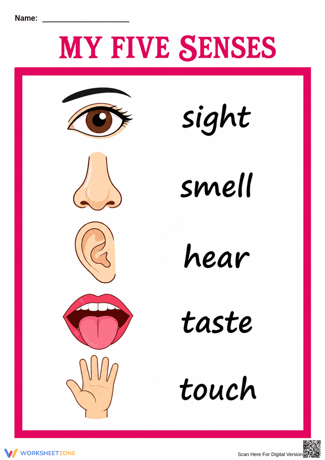 Grade K-2 My Five Senses — Printable Essential Chart - Page 1