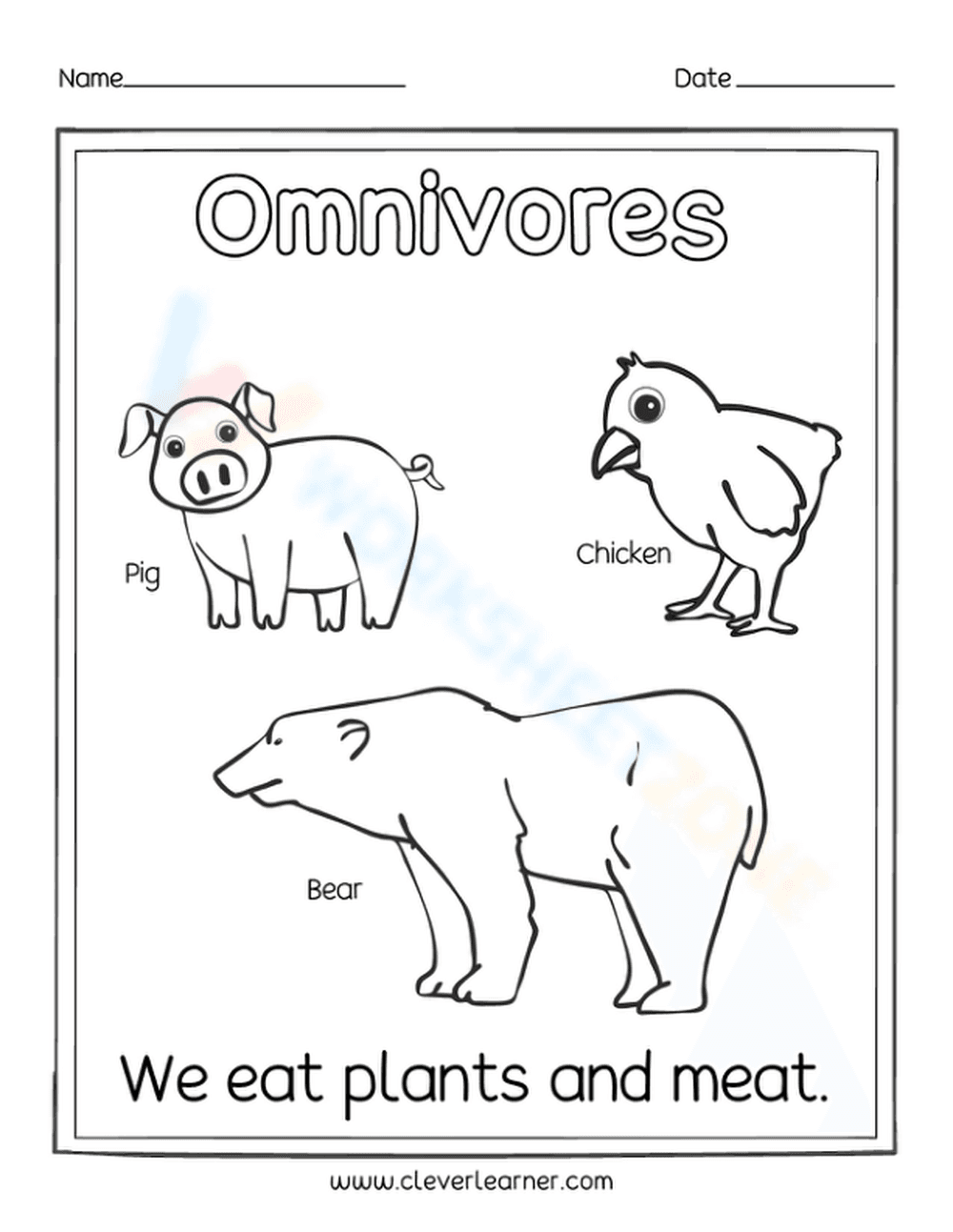 Essential Omnivores Worksheet | Grade 1 Science - Page 1