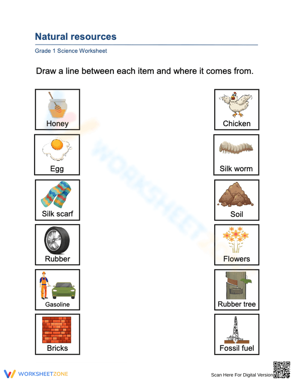 Grade 1 Natural Resources Worksheet 2 - Page 1