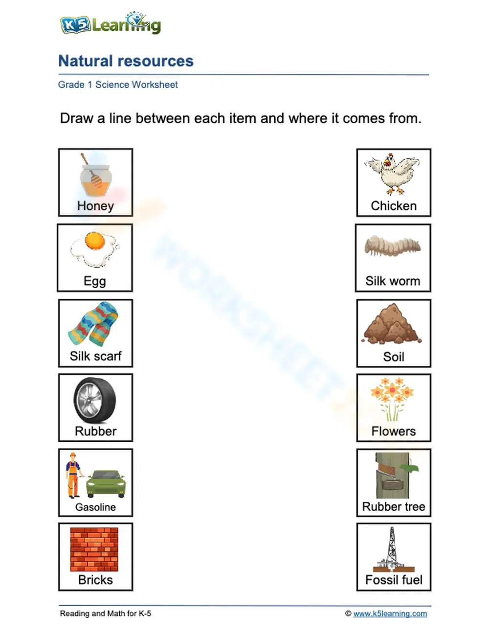 Grade 1 Natural Resources Worksheet 2 - Page 1