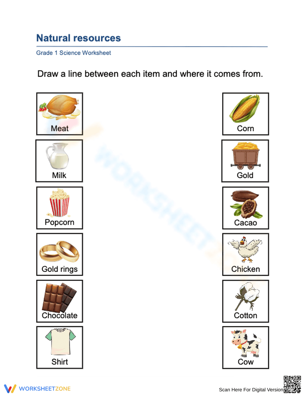Grade 1 Natural Resources Worksheet 3 - Page 1